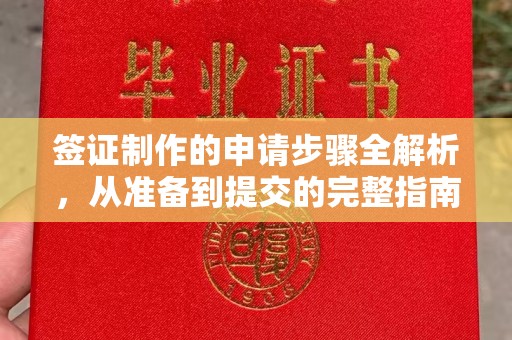 洮南签证制作的申请步骤全解析，从准备到提交的完整指南