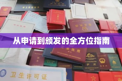 洮南从申请到颁发的全方位指南