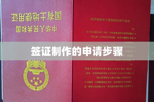 洮南签证制作的申请步骤