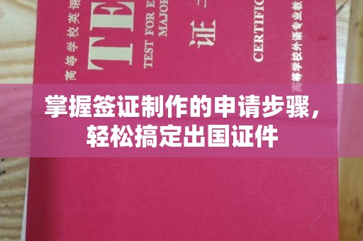 洮南掌握签证制作的申请步骤，轻松搞定出国证件