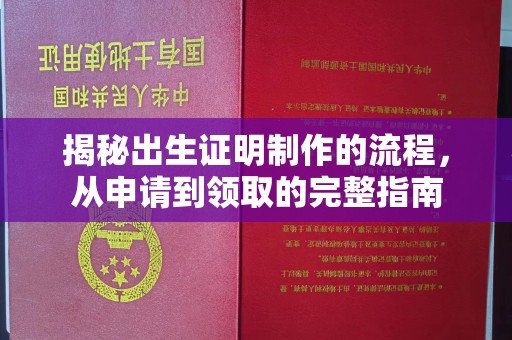 洮南揭秘出生证明制作的流程，从申请到领取的完整指南