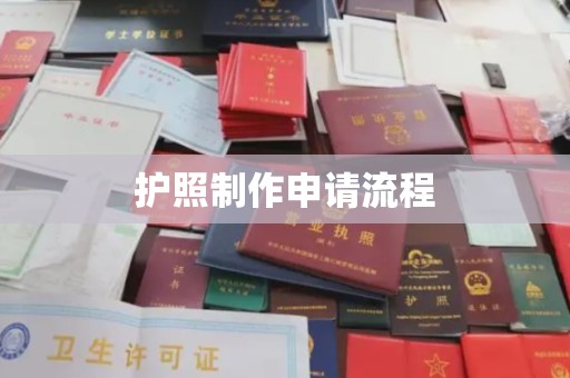 洮南护照制作申请流程