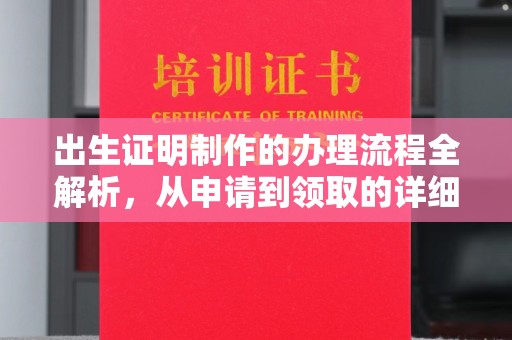 洮南出生证明制作的办理流程全解析，从申请到领取的详细指南