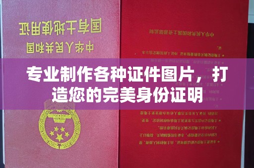 洮南专业制作各种证件图片，打造您的完美身份证明
