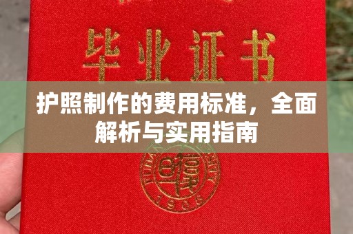 洮南护照制作的费用标准，全面解析与实用指南