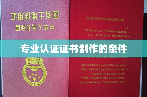 洮南专业认证证书制作的条件