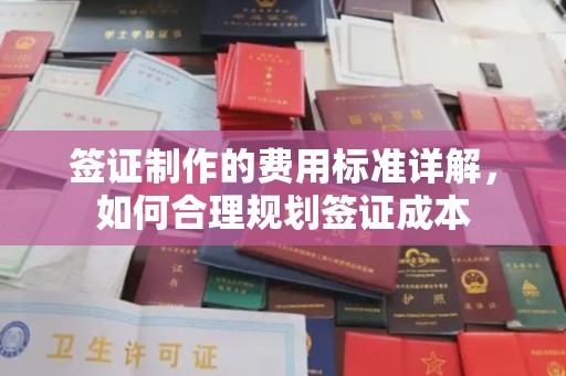 洮南签证制作的费用标准详解，如何合理规划签证成本