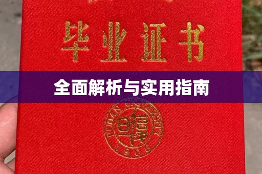 洮南全面解析与实用指南
